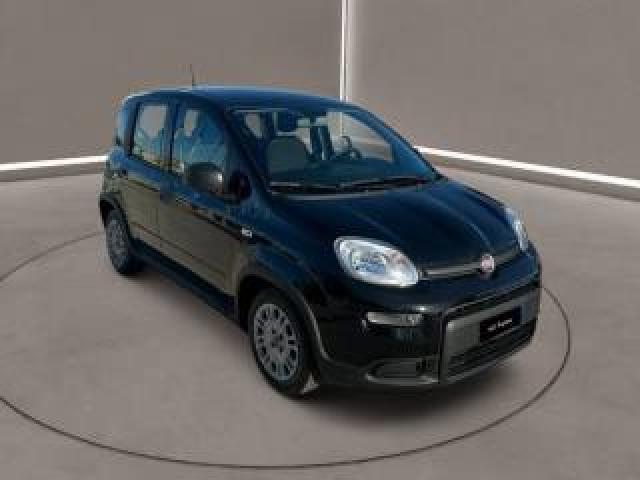 Fiat Panda 3ª Serie -  1.0 Firefly S&s Hybrid 