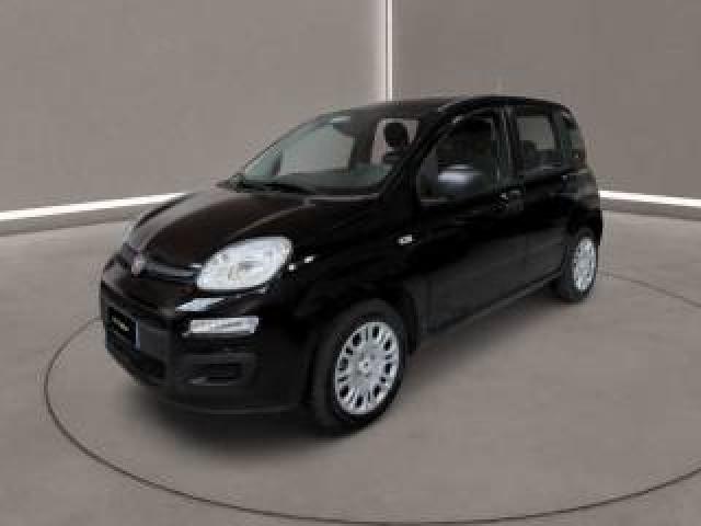 Fiat Panda 3ª Serie -  1.0 Firefly S&s Hybrid Icon 