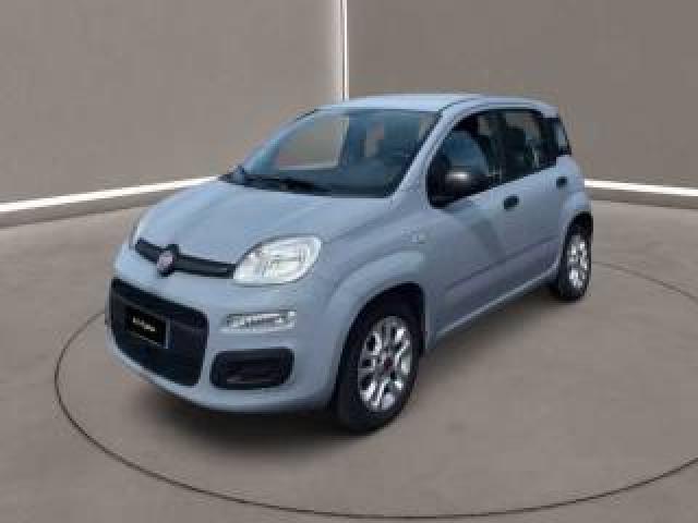 Fiat Panda 3ª Serie -  1.0 Firefly S&s Hybrid 