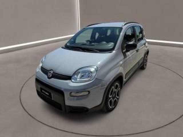 Fiat Panda 3ª Serie -  1.0 Firefly S&s Hybrid City Life 