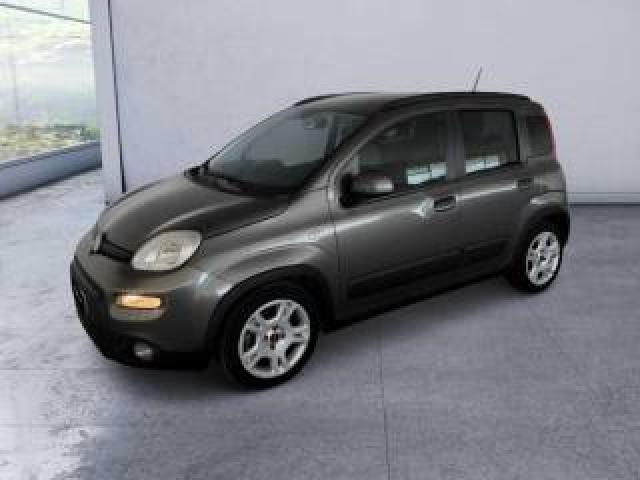 Fiat Panda 3ª Serie -  1.0 Firefly S&s Hybrid Red 