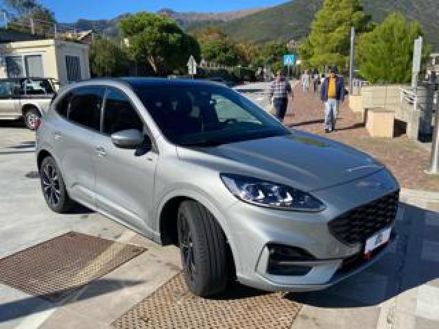 Ford Kuga 2.0 Ecoblue 120 Cv Aut. 2wd St-Line 
