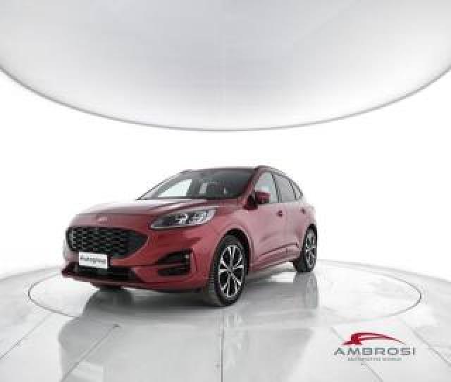 Ford Kuga 2.0 Ecoblue 190 Cv Aut. Awd St-Line X 