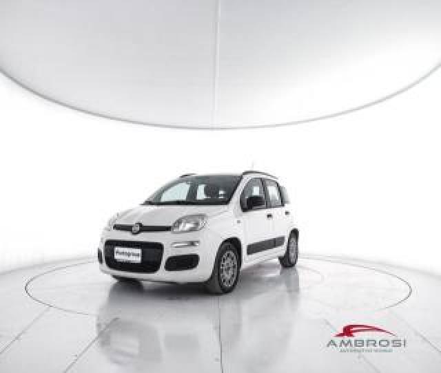 Fiat Panda 1.2 Easypower Lounge - Per Operatori Del Settore 