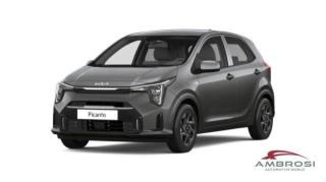 Kia Picanto Pe2 My26 1.0 Urban Tt 