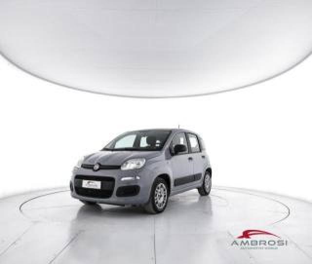 Fiat Panda 1.2 Easypower Gpl 