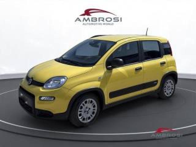 Fiat Panda 1.0 Firefly Hybrid S&s 70cv 