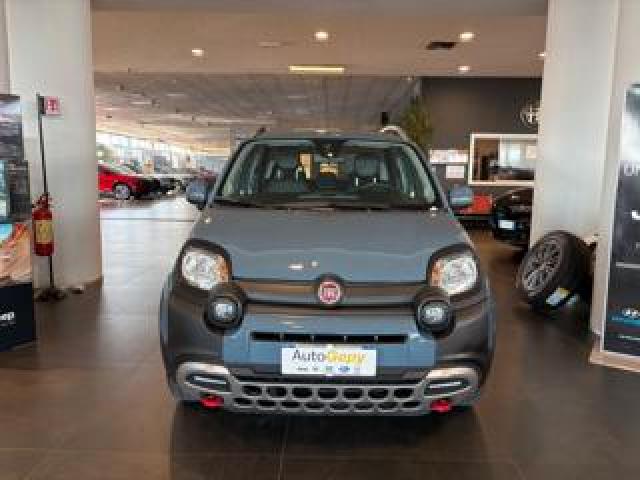 Fiat Panda Cross 1.0 Firefly S&s Hybrid 