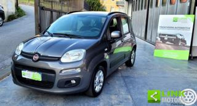 Fiat Panda Fiat Panda 1.2 Benzina 69 Cv  Lounge, 