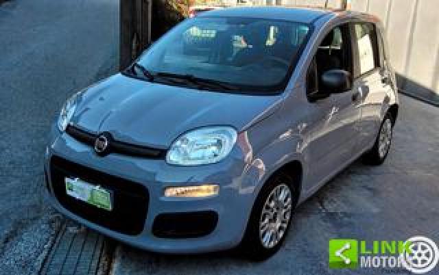 Fiat Panda 1.0 Hybrid 70 Cv Easy 