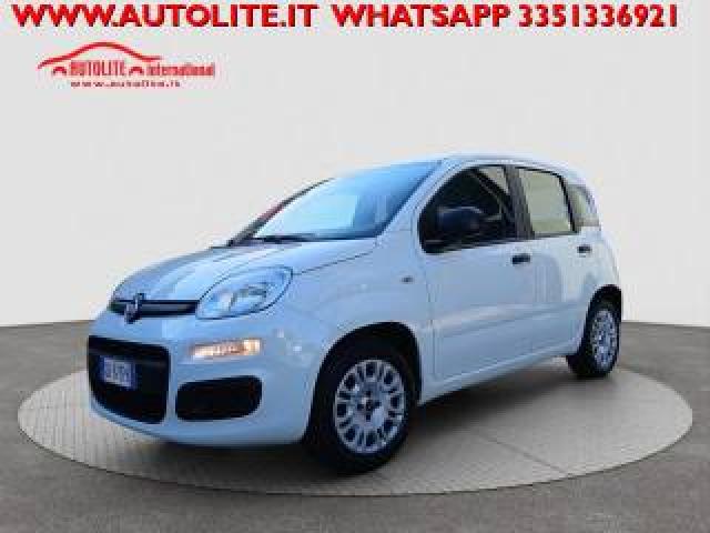 Fiat Panda 1.2 Easy 69 Cv E6d Temp 