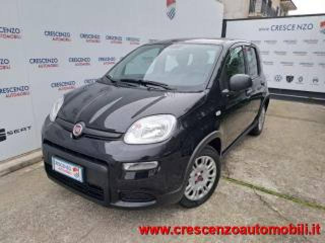 Fiat Panda 1.0 Firefly S&s Hybrid Pandina 