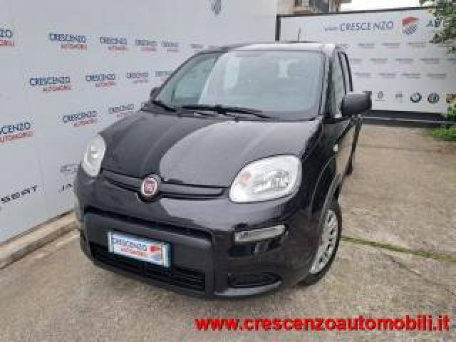 Fiat Panda 1.0 Firefly S&s Hybrid Pandina - Aziendale 