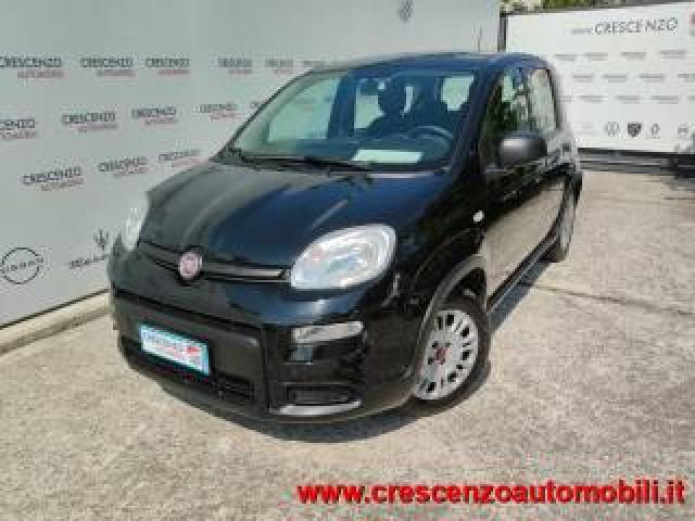 Fiat Panda 1.0 Hybrid City Life - Prezzo Reale 