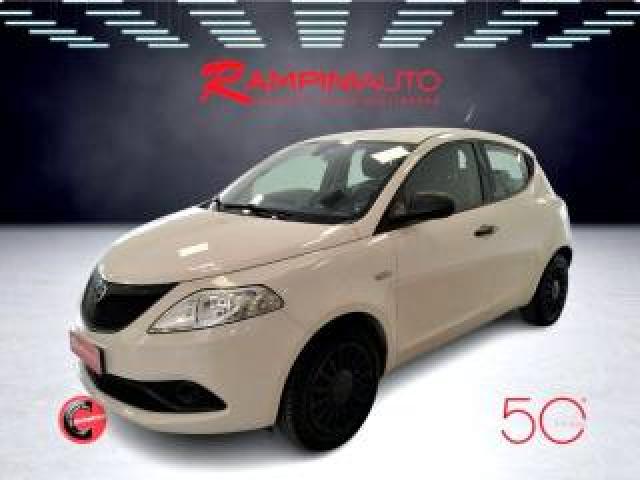 Lancia Ypsilon 1.2 69 Cv 5 Porte Elefantino Pronta Consegna 