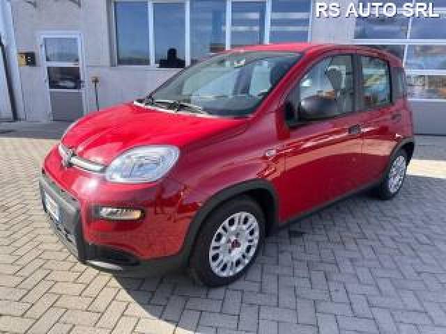 Fiat Panda Panda 1.0 Firefly S&s Hybrid 
