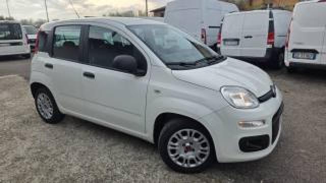 Fiat Panda 1.2 Easy Van 4 Posti Soli 14mila Km! 