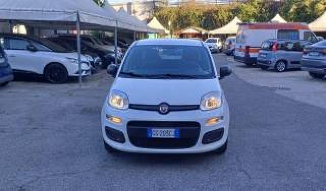 Fiat Panda 1.0 Hybrid S&s Connect 70 Cv 