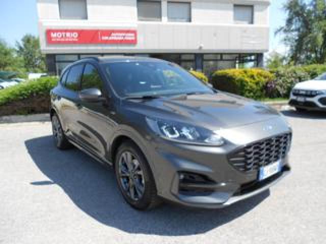 Ford Kuga 2.0 Ecoblue Hybrid 150 Cv 2wd St-Line 