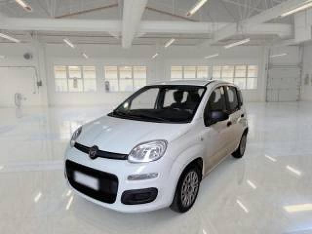 Fiat Panda 1.3 Mjt 95 Cv S&s Easy 