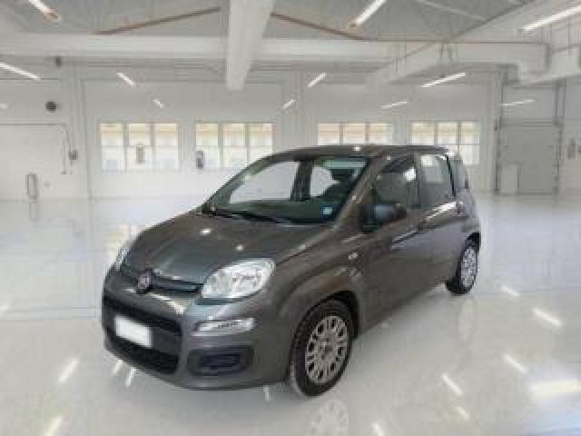 Fiat Panda 1.0 Firefly S&s Hybrid Easy 