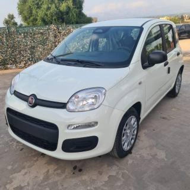Fiat Pandina 1.0 Firefly 65 Cv Hybrid Icon 