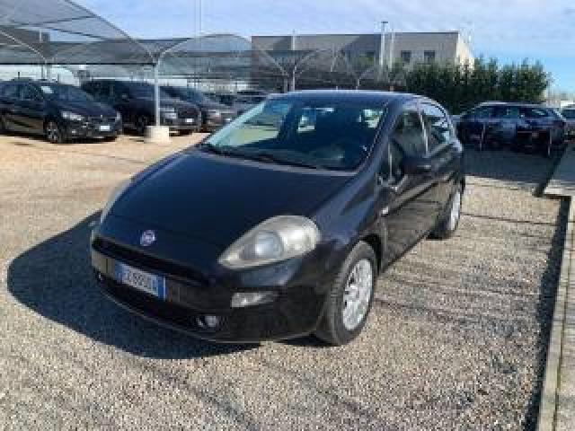 Fiat Punto 1.3 Mjt Ii 75 Cv 5 Porte Lounge 