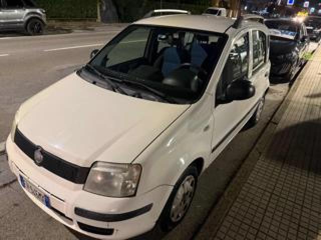 Fiat Panda 1.2 Active 