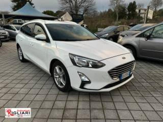 Ford Focus 1.5 Ecoblue 120 Cv Automatico Sw Business Co-Pilot 