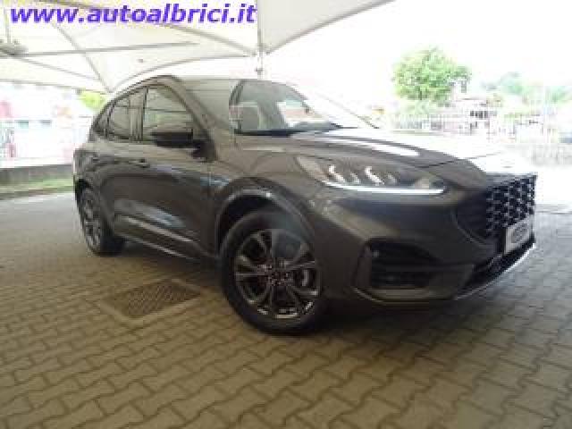 Ford Kuga 1.5 Ecoboost 150 Cv 2wd St-Line 