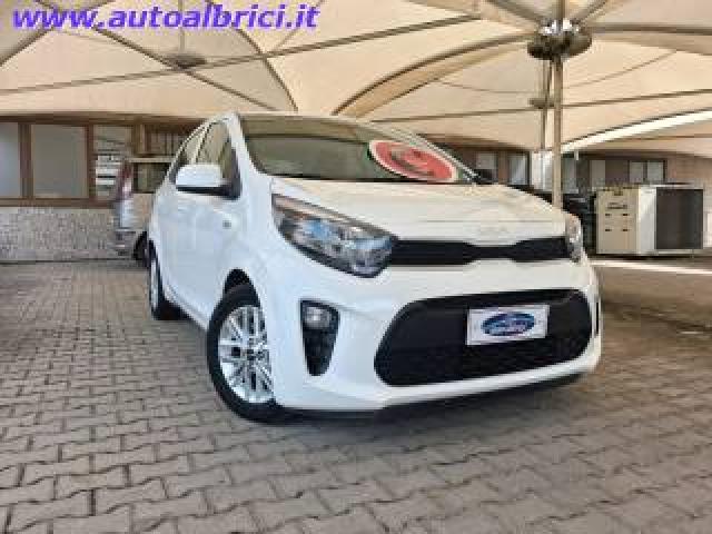 Kia Picanto 1.0 12v 5 Porte Urban 