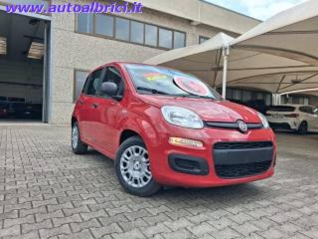 Fiat Pandina 1.0 Firefly 65 Cv Hybrid Icon Km 0 