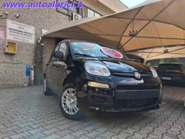 Fiat Pandina 1.0 Firefly 65 Cv Hybrid Icon Km 0 