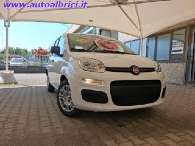 Fiat Pandina 1.0 Firefly 65 Cv Hybrid Icon Km 0 