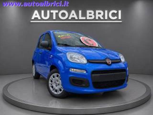 Fiat Pandina 1.0 Firefly 65 Cv Hybrid Icon Km 0 