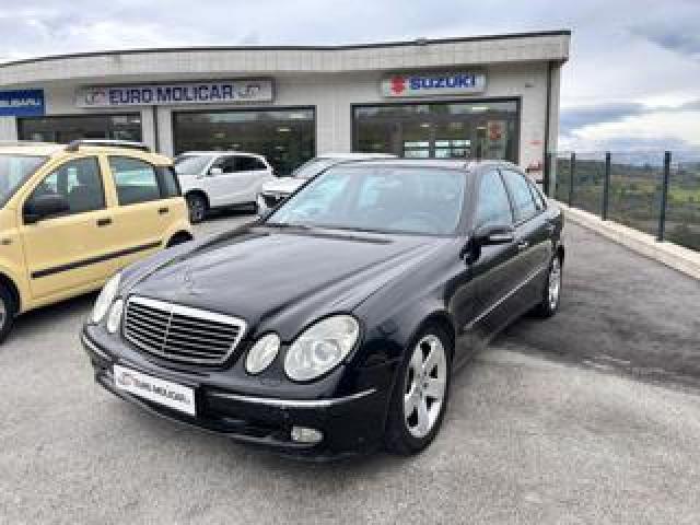 Mercedes Benz E 270 Cdi Avantgarde 