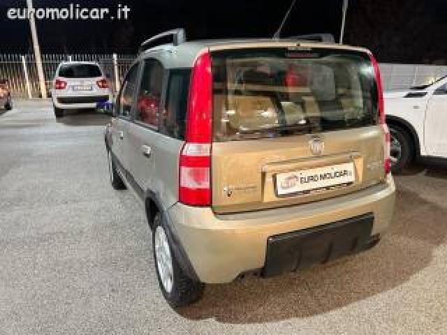 Fiat Panda 1.2 Climbing Natural Power 