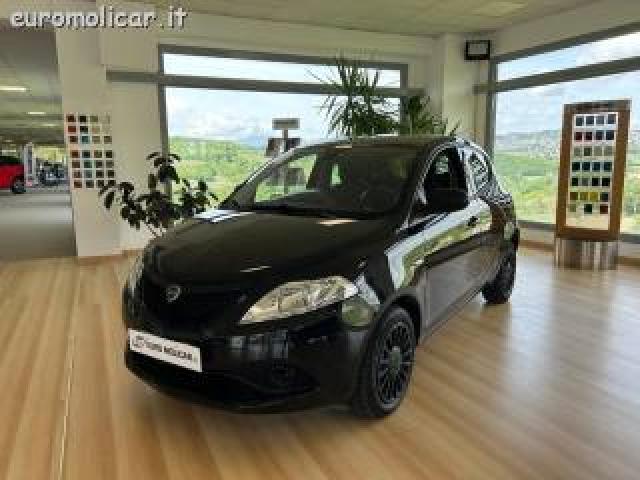 Lancia Ypsilon 1.2 Elefantino Blu - Promo 