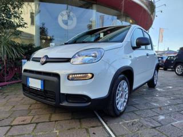 Fiat Panda 1.0 70cv Firefly S&s Hybrid 