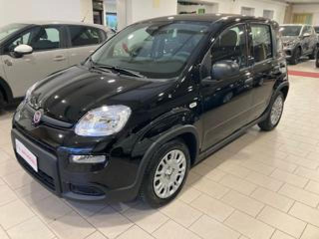 Fiat Panda 1.0 70cv Hybrid 