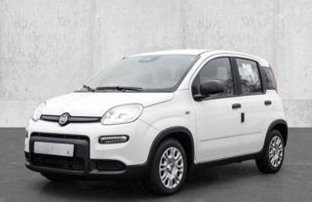 Fiat Panda 1.0 70cv Firefly S&s Hybrid 