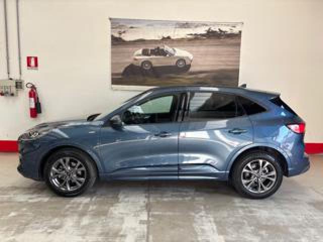 Ford Kuga 2.5 Full Hybrid 190 Cv Cvt 2wd St-Line 