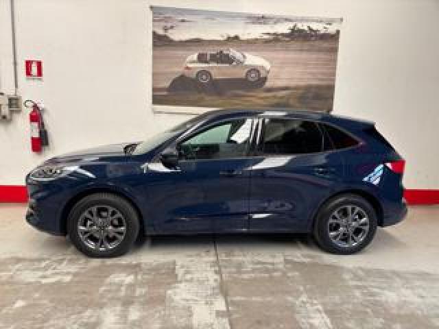 Ford Kuga 2.5 Plug In Hybrid 225 Cv Cvt 2wd St-Line 