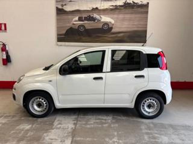Fiat Panda 1.2 Pop Van 2 Posti Prezzo+iva 