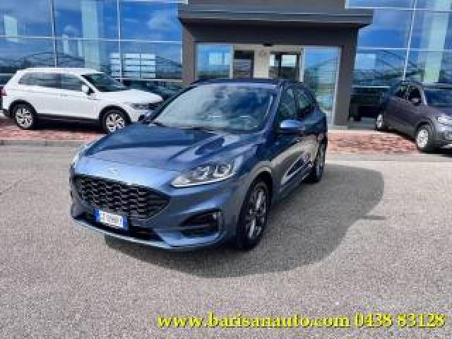 Ford Kuga 2.0 Ecoblue 120 Cv Aut. 2wd St-Line 