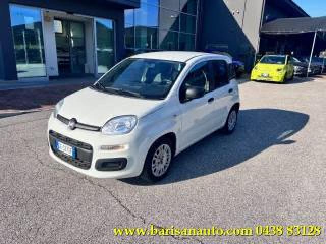 Fiat Panda 1.0 Firefly S&s Hybrid / Kit 5 Posti 