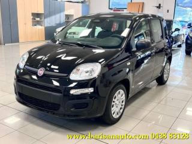 Fiat Panda 1.0 Firefly S&s Hybrid Icon 