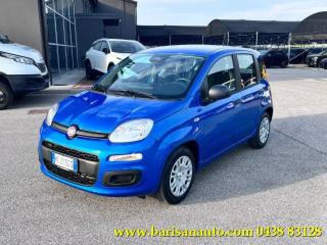 Fiat Panda 1.0 Firefly S&s Hybrid Icon 