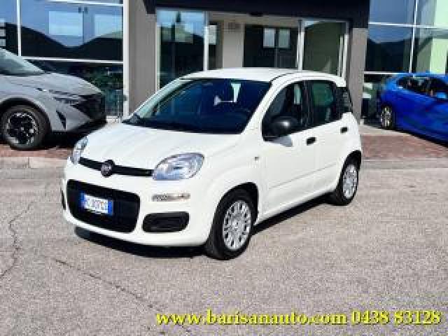 Fiat Panda 1.0 Firefly S&s Hybrid Icon 
