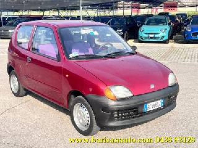 Fiat Seicento 900i Cat Young 